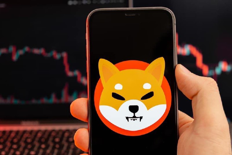 Is Shiba Inu dead? SHIB is down 20% in a year