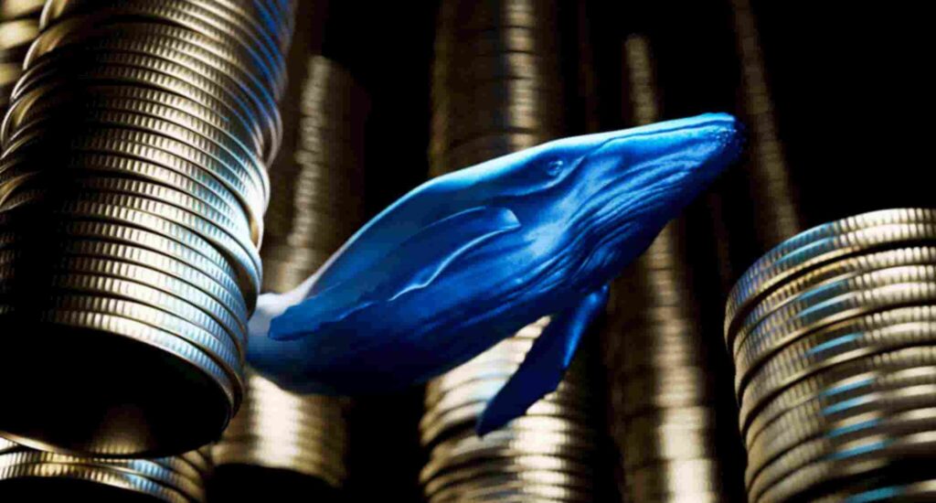 XRP whales scoop up 120 million tokens