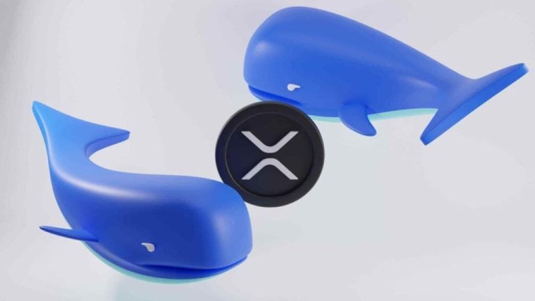 6778270d80754c799993abb8beedb331