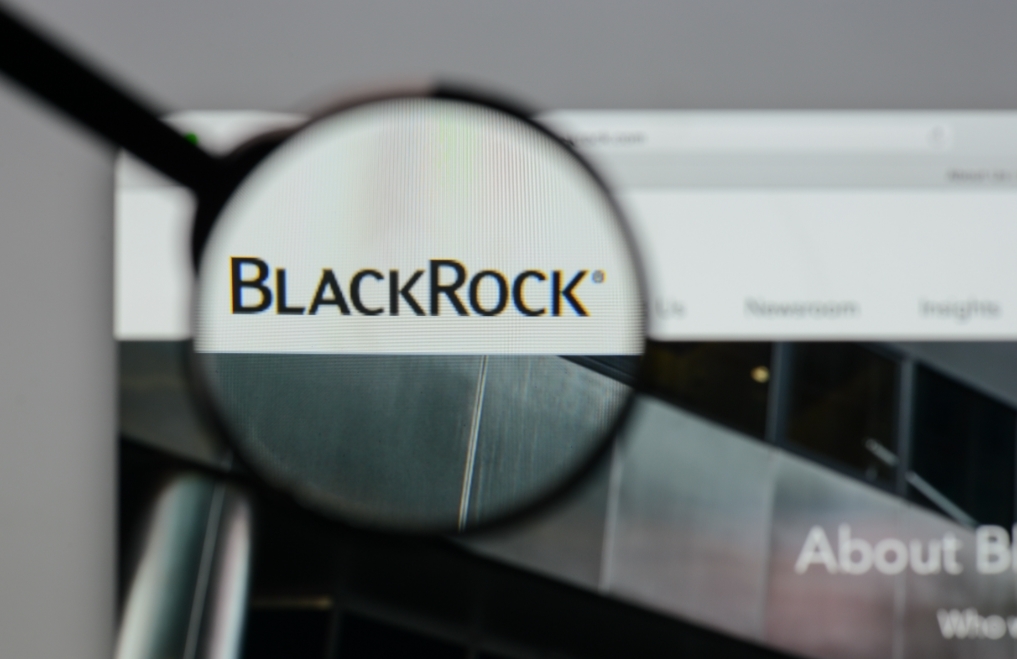 Investors fear BlackRock will dump these two cryptocurrencies