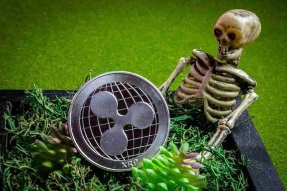 172cfe853dfd623ee5371740f7501739