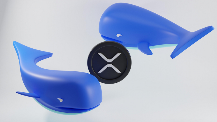 0967e200ea4b8abc2eaba96be96b9509