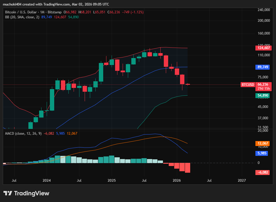 BTC/USD monthly chart