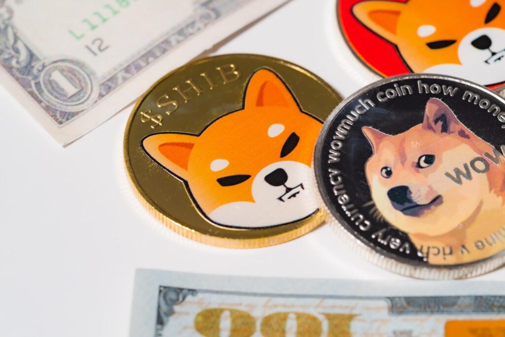 Are Shiba Inu and Dogecoin a good buy in March?