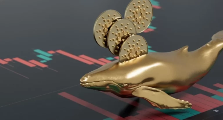 cardano-whale-holdings-surge-to-highest-level-since-2020-efbb517.webp