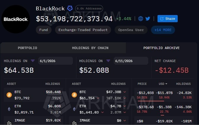 BlackRock crypto portfolio falls by over billion in early June